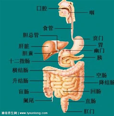 左边是哪里